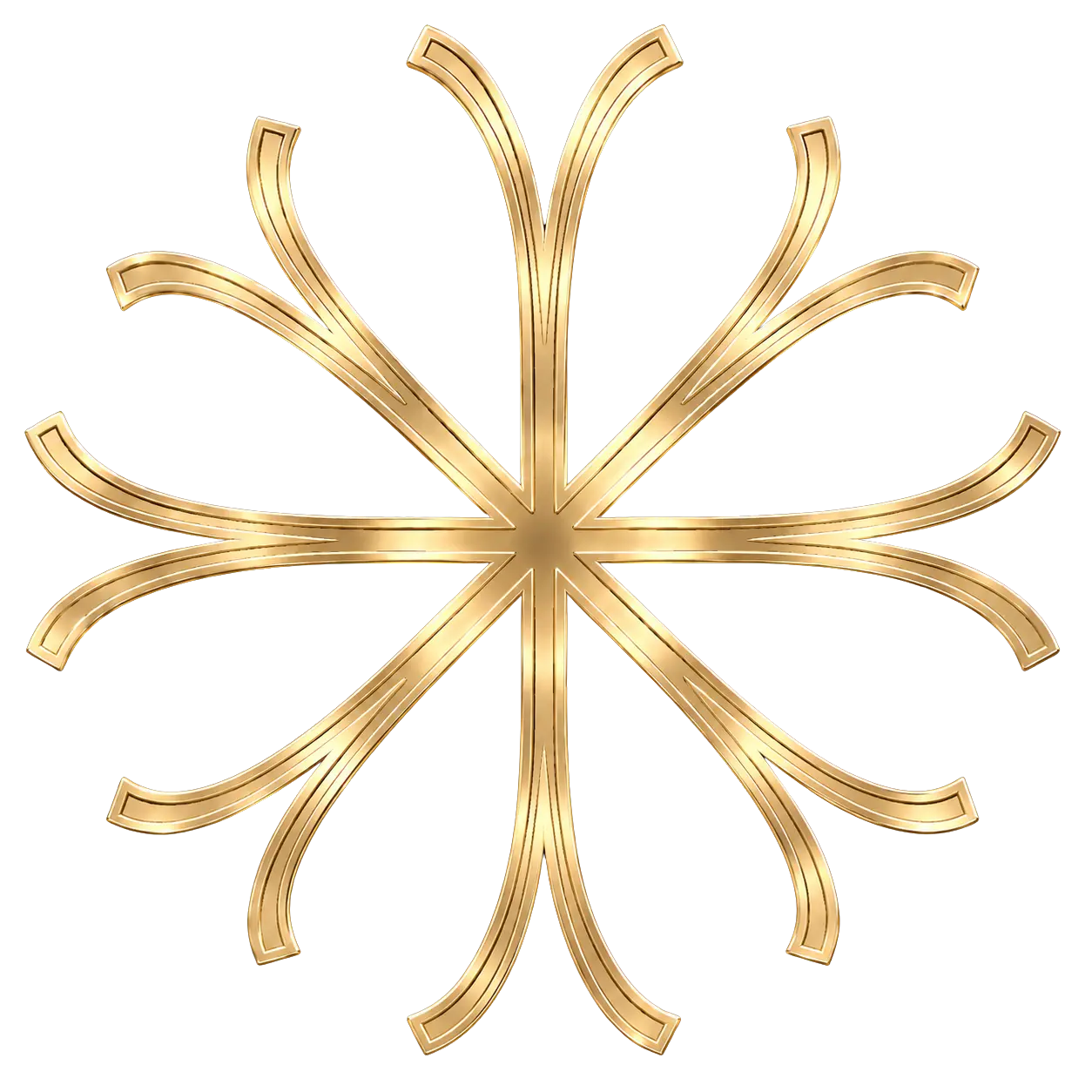 Logo Navaid Ansari