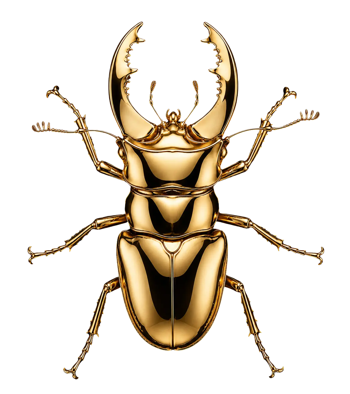 scarabee